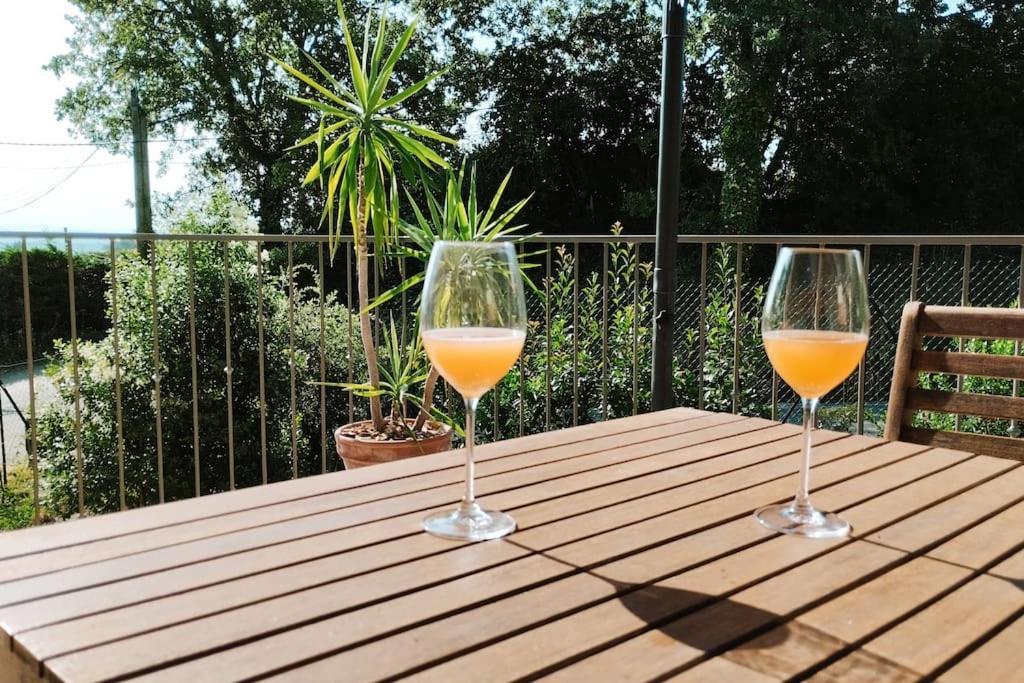 Charmante Maison Avec Jardin Aux Portes Des Gorges De L'Ardeche Saint-Julien-de-Peyrolas Εξωτερικό φωτογραφία